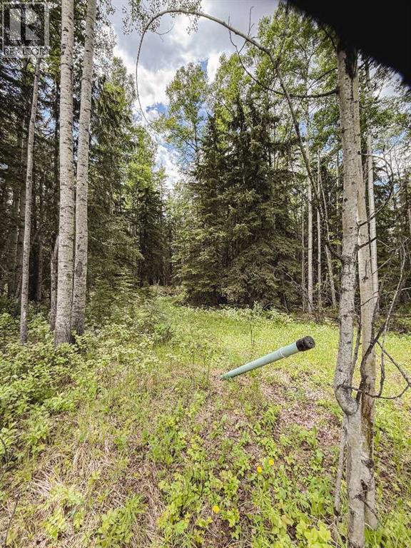 10504 794 Township - Image 32