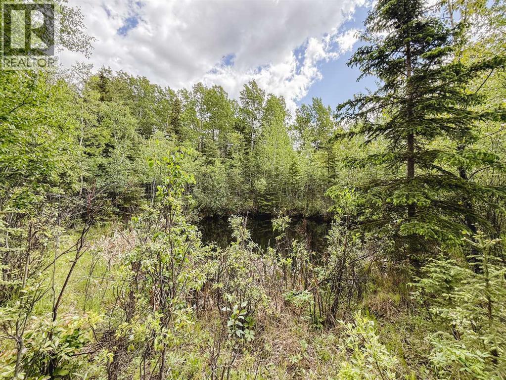 10504 794 Township - Image 36