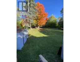 Bsmt - 53 Belfry Drive, Newmarket, ON L3Y3E9 Photo 12