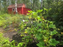4 Ash Street, Onanole, MB R0J1N0 Photo 8