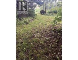 64 Main Street, Trinity, NL A0C2S0 Photo 10