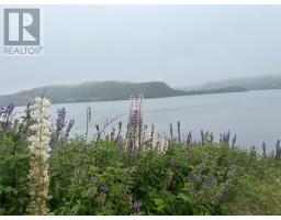 64 Main Street, Trinity, NL A0C2S0 Photo 9