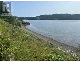 64 Main Street, Trinity, NL A0C2S0 Photo 7