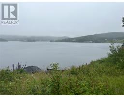 64 Main Street, Trinity, NL A0C2S0 Photo 27