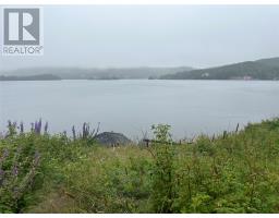 64 Main Street, Trinity, NL A0C2S0 Photo 26