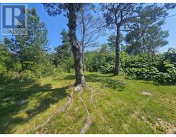 61 Dominion Street, Glace Bay, NS B1A3M8 Photo 16