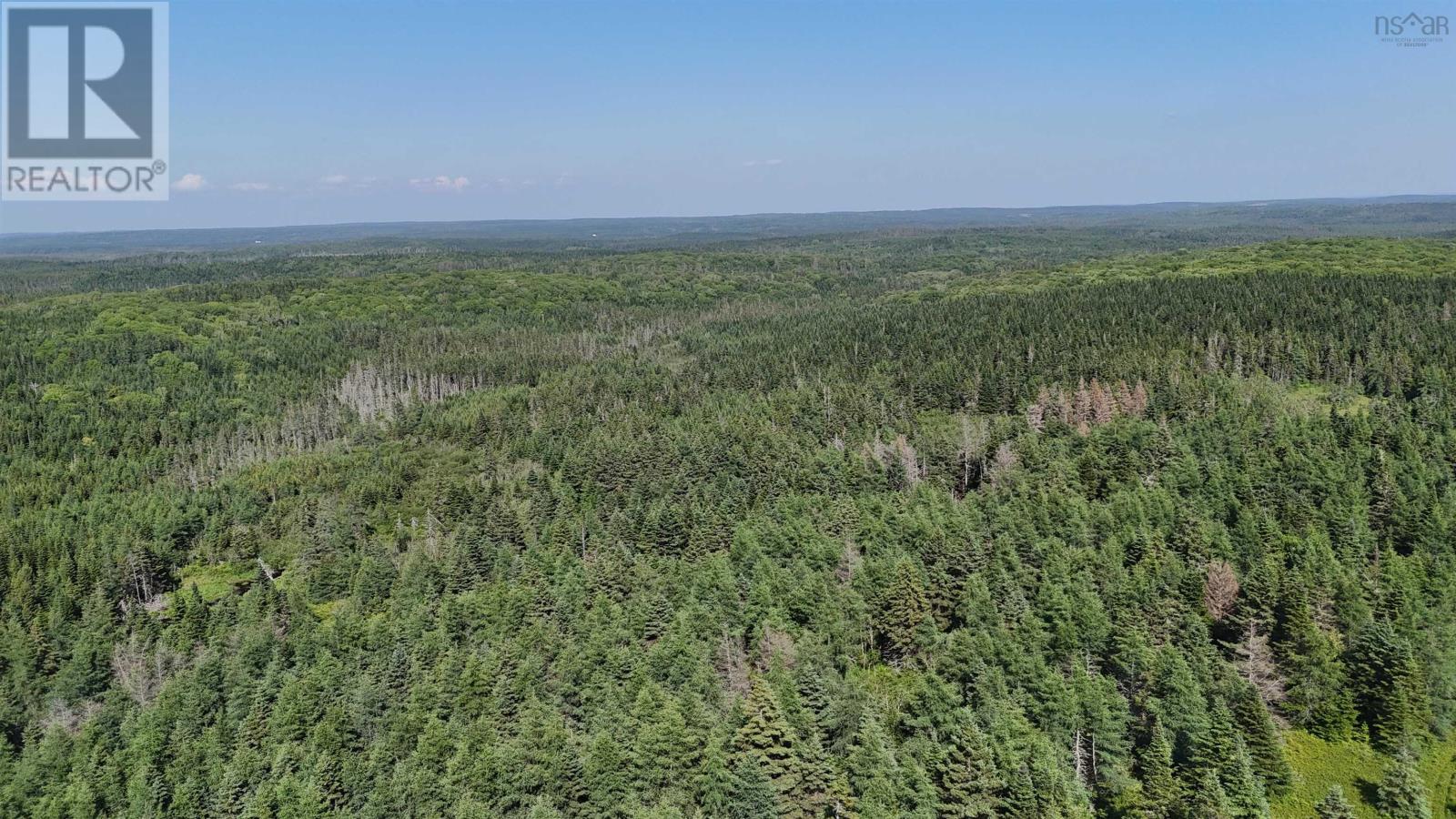 Property 17 of 19 of 139 Acres Shaws Road
