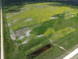 0 481 Road, Ste Rose Du Lac, MB R0L1S0 Photo 13