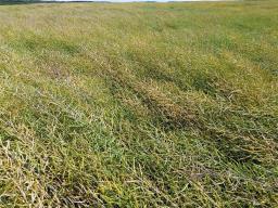 0 481 Road, Ste Rose Du Lac, MB R0L1S0 Photo 21