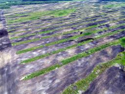 0 481 Road, Ste Rose Du Lac, MB R0L1S0 Photo 6