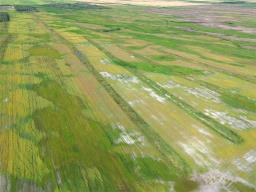 0 Moore Dale Road, Ste Rose Du Lac, MB R0L1S0 Photo 14
