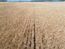 0 Moore Dale Road, Ste Rose Du Lac, MB R0L1S0 Photo 9