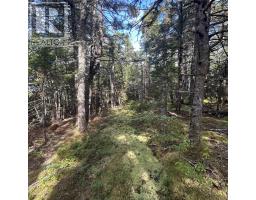 Lot 6-f-a Middle Road, Kingsburg, NS B0J2X0 Photo 8