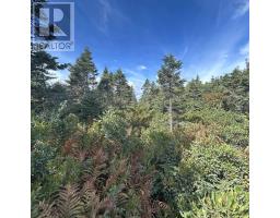 Lot 6-f-a Middle Road, Kingsburg, NS B0J2X0 Photo 6