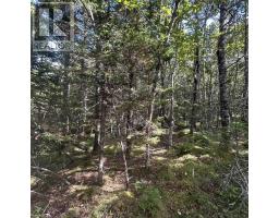 Lot 6-f-a Middle Road, Kingsburg, NS B0J2X0 Photo 7