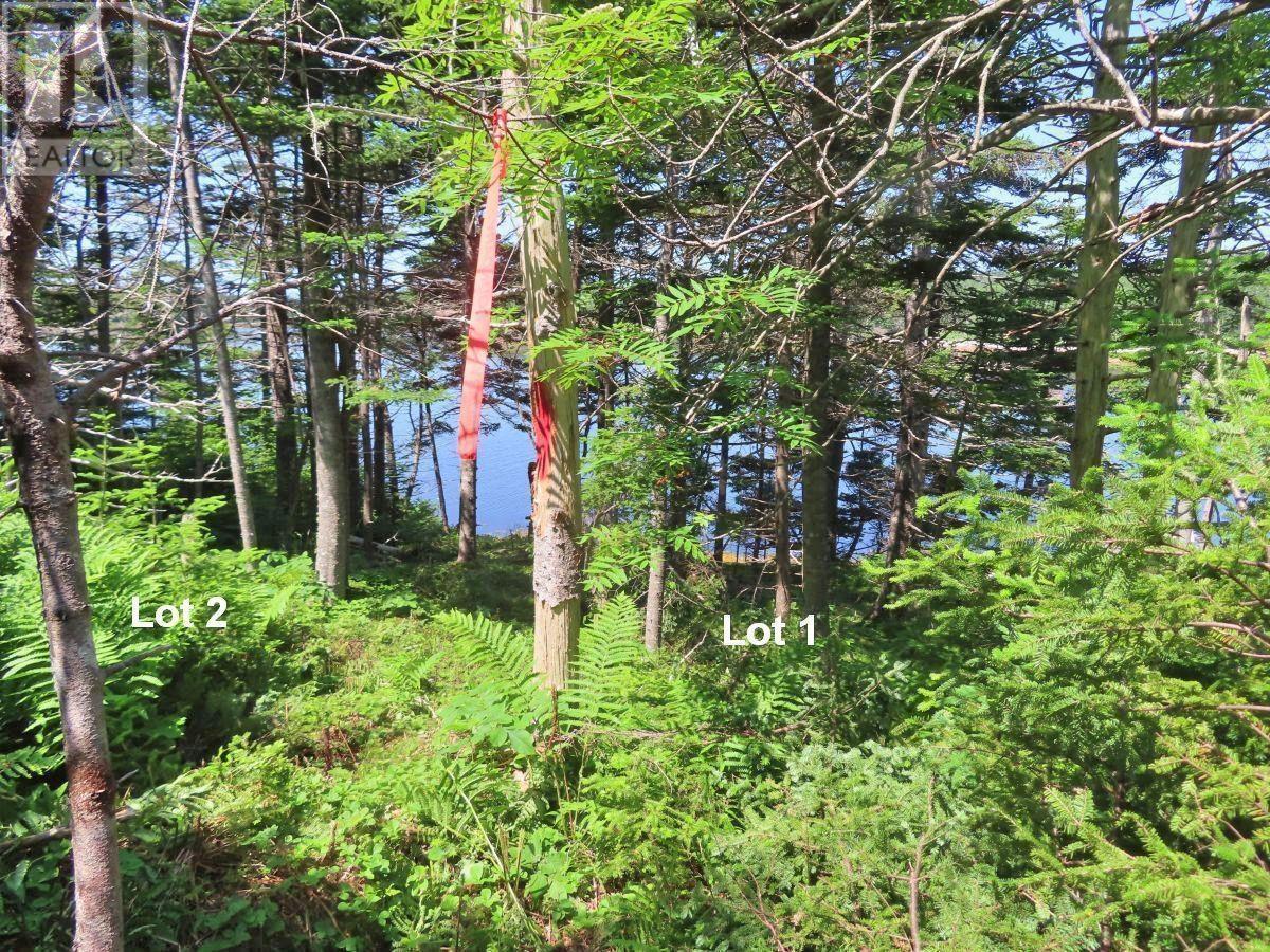 Property 34 of 49 of Lot 1 316 (Grovers Point) Highway