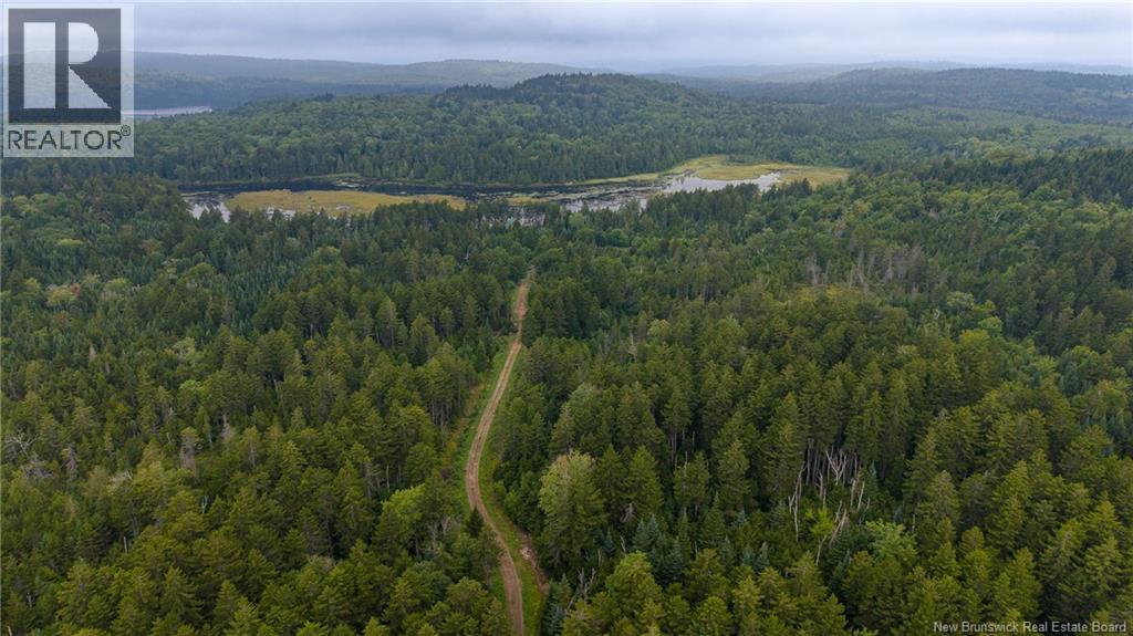 Lot and Camp Route 845 - Image 48