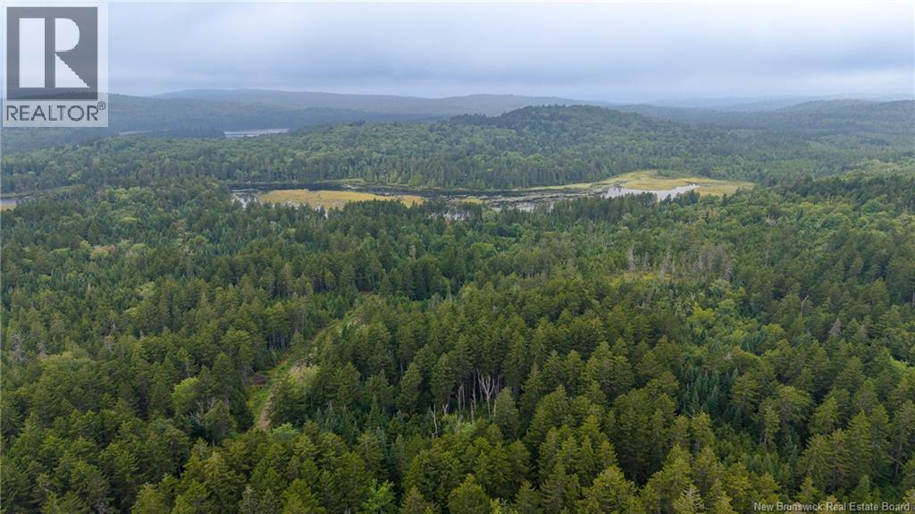 Lot and Camp Route 845 - Image 47