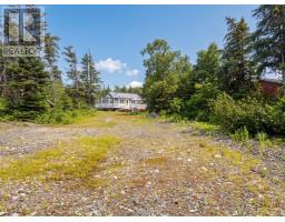 100 Cape Pond Road, Tors Cove, NL A0A4A0 Photo 28