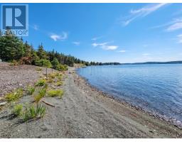 100 Cape Pond Road, Tors Cove, NL A0A4A0 Photo 29