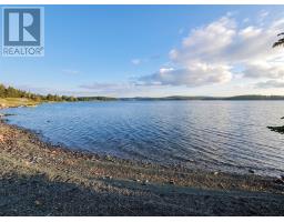 100 Cape Pond Road, Tors Cove, NL A0A4A0 Photo 30