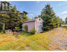 100 Cape Pond Road, Tors Cove, NL A0A4A0 Photo 34