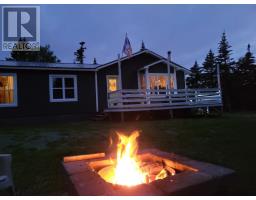 100 Cape Pond Road, Tors Cove, NL A0A4A0 Photo 37