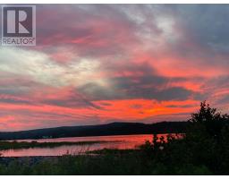 100 Cape Pond Road, Tors Cove, NL A0A4A0 Photo 38