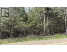 Lot 26-1 Beech Hill Road, Princeport, NS B6L1B7 Photo 6