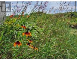9548d Hwy#6, Meadowview Ln, Little Current, ON P0P1K0 Photo 27