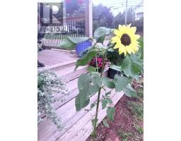102 Victoria Street, Kensington, PE C0B1M0 Photo 37
