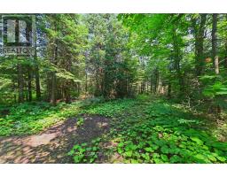 349805 4th Concession B Concession, Grey Highlands, ON N0C1M0 Photo 38