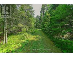 349805 4th Concession B Concession, Grey Highlands, ON N0C1M0 Photo 39