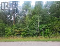 6492 10th Line, Minto, ON N0G1Z0 Photo 6