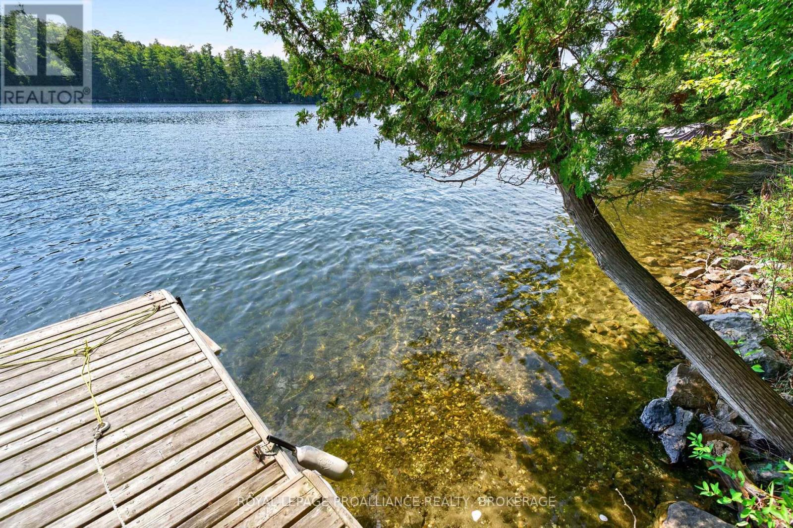 20 PORCUPINE ISLAND - Image 6