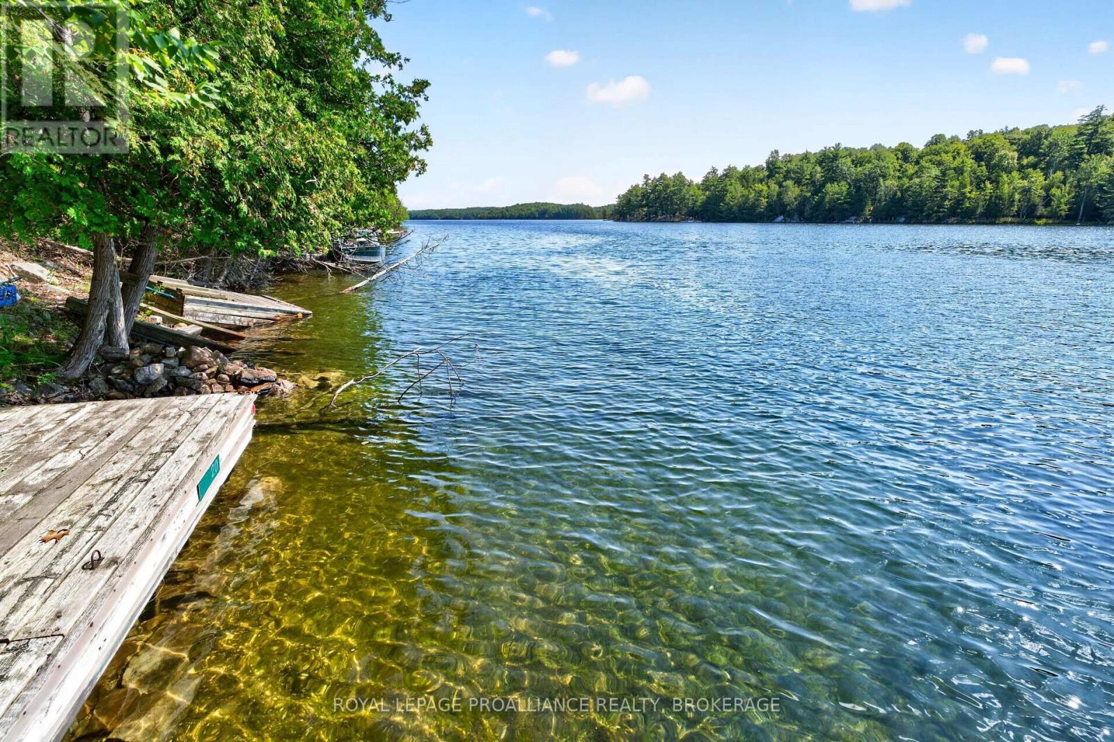 20 PORCUPINE ISLAND - 8