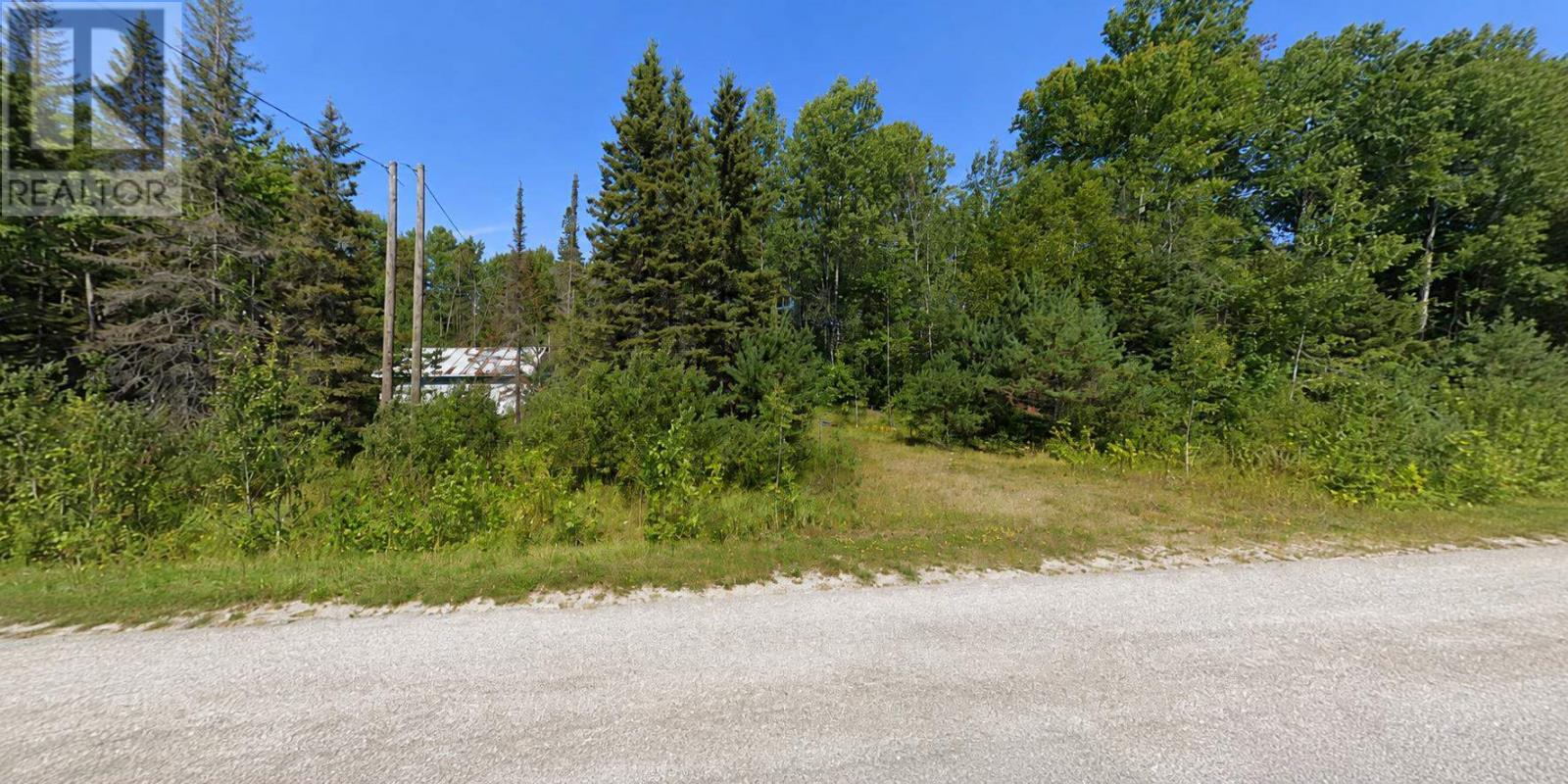fl1.jpg