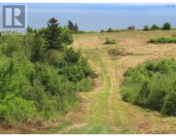 Hwy 337 Morristown, Morristown, NS B2G2L2 Photo 12