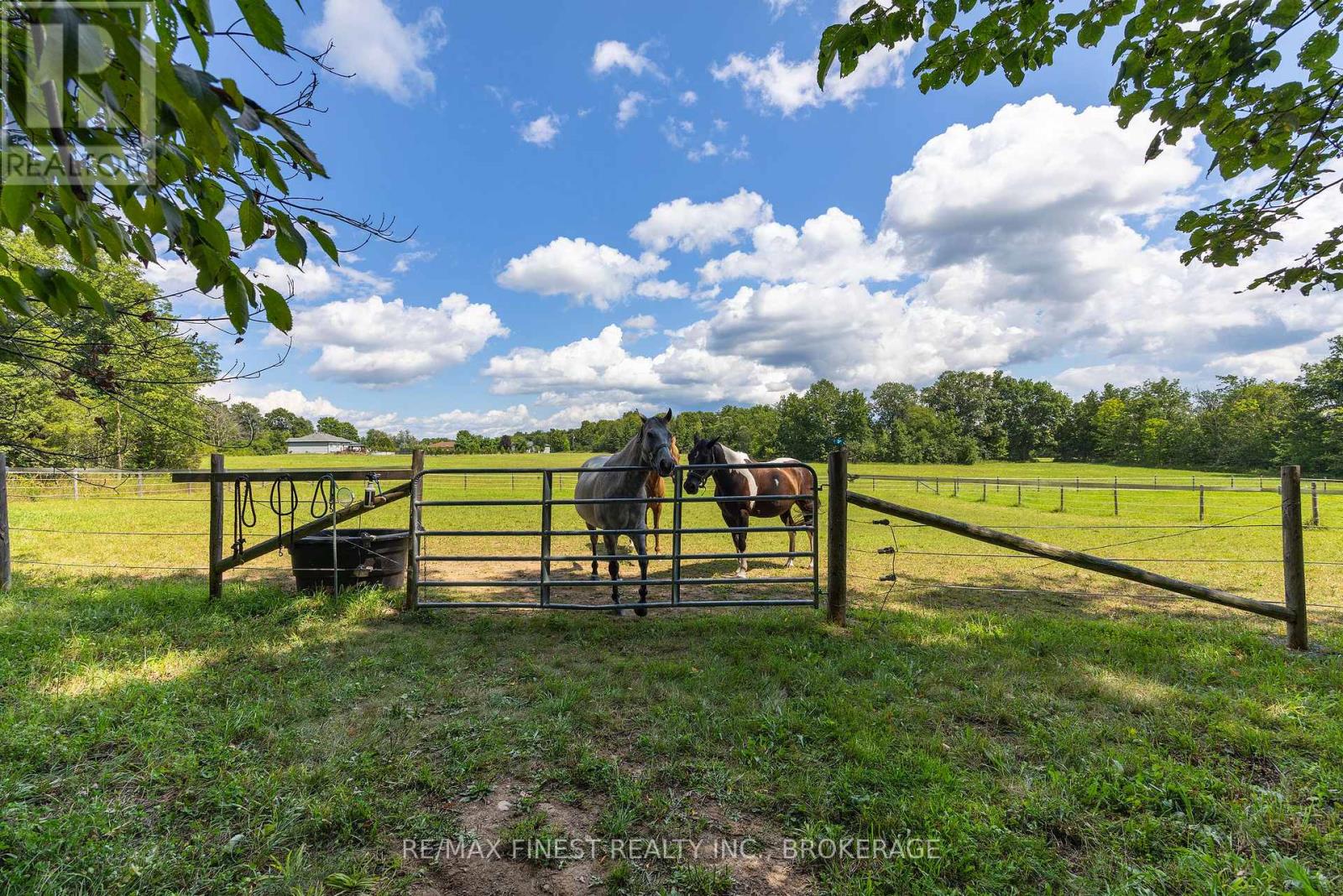 2961 RAILTON ROAD - Image 35