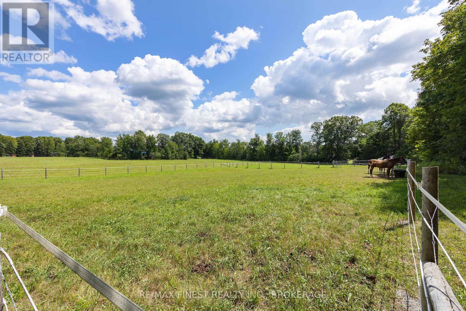 2961 RAILTON ROAD - Image 36