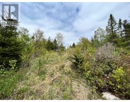 18 Whiskey Hill thumbnail 13