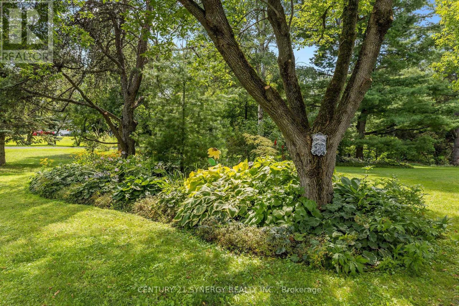 955 DU CASTOR ROAD - Image 3