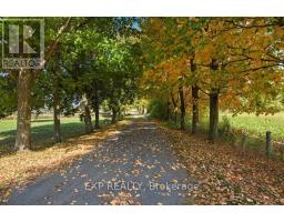 2830 Concession 4 Road, Alfred And Plantagenet, ON K0B1A0 Photo 30