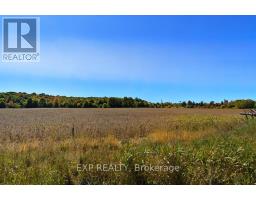2830 Concession 4 Road, Alfred And Plantagenet, ON K0B1A0 Photo 31