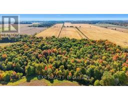 2830 Concession 4 Road, Alfred And Plantagenet, ON K0B1A0 Photo 36