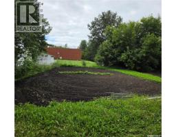 217 3rd Street Ne, Preeceville, SK S0A3B0 Photo 26