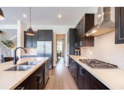 23165 Muench Trail, Langley, BC V1M4G1 Photo 8
