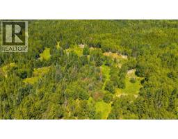 1589 Route 772, Hibernia Cove, NB E5V1L3 Photo 43