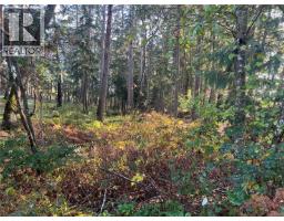 3850 Yellow Point Rd, Nanaimo, BC V9G1E9 Photo 30