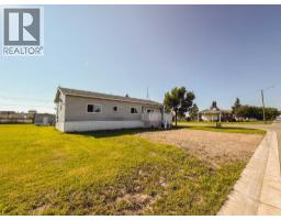 4540 48 Street, Rycroft, AB T0H3A0 Photo 50